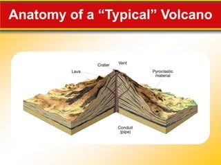 Anatomy of a “Typical” Volcano
 