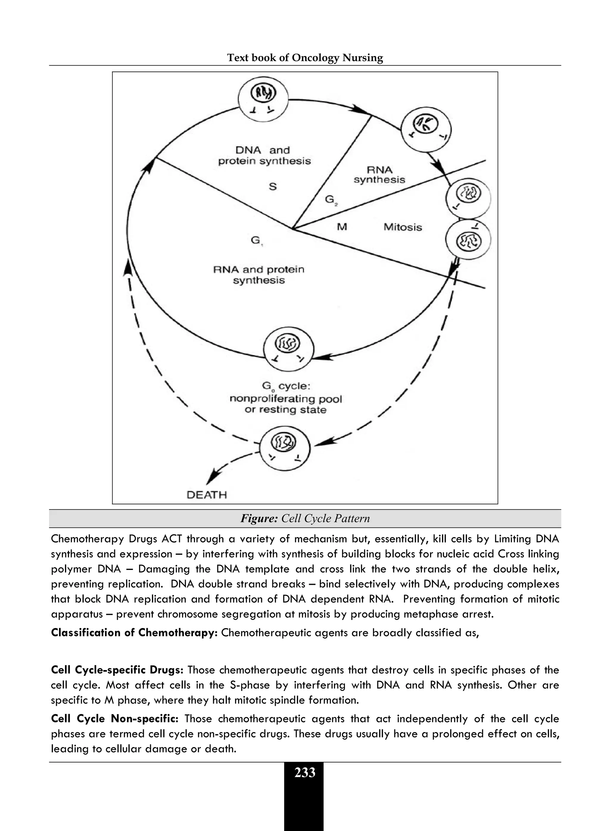 Text book of Oncology Nursing
233
Figure: Cell Cycle Pattern
Chemotherapy Drugs ACT through a variety of mechanism but, essentially, kill cells by Limiting DNA
synthesis and expression – by interfering with synthesis of building blocks for nucleic acid Cross linking
polymer DNA – Damaging the DNA template and cross link the two strands of the double helix,
preventing replication. DNA double strand breaks – bind selectively with DNA, producing complexes
that block DNA replication and formation of DNA dependent RNA. Preventing formation of mitotic
apparatus – prevent chromosome segregation at mitosis by producing metaphase arrest.
Classification of Chemotherapy: Chemotherapeutic agents are broadly classified as,
Cell Cycle-specific Drugs: Those chemotherapeutic agents that destroy cells in specific phases of the
cell cycle. Most affect cells in the S-phase by interfering with DNA and RNA synthesis. Other are
specific to M phase, where they halt mitotic spindle formation.
Cell Cycle Non-specific: Those chemotherapeutic agents that act independently of the cell cycle
phases are termed cell cycle non-specific drugs. These drugs usually have a prolonged effect on cells,
leading to cellular damage or death.
 
