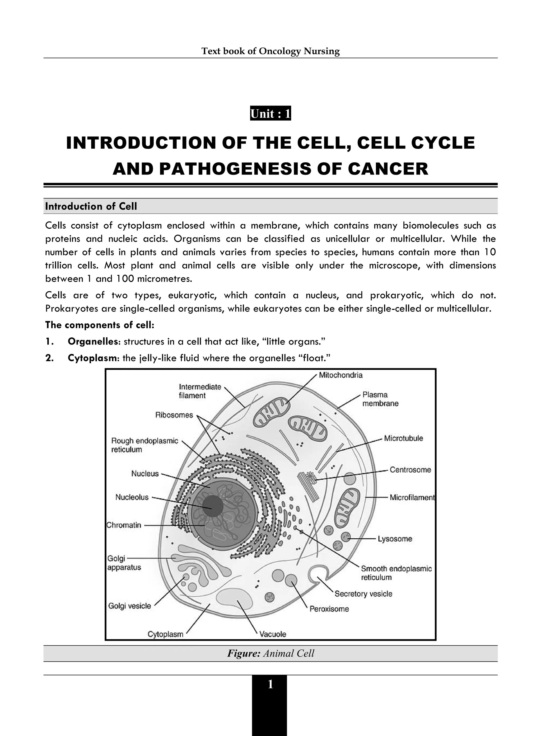 Text book of Oncology Nursing
1
Unit : 1
INTRODUCTION OF THE CELL, CELL CYCLE
AND PATHOGENESIS OF CANCER
Introduction of Cell
Cells consist of cytoplasm enclosed within a membrane, which contains many biomolecules such as
proteins and nucleic acids. Organisms can be classified as unicellular or multicellular. While the
number of cells in plants and animals varies from species to species, humans contain more than 10
trillion cells. Most plant and animal cells are visible only under the microscope, with dimensions
between 1 and 100 micrometres.
Cells are of two types, eukaryotic, which contain a nucleus, and prokaryotic, which do not.
Prokaryotes are single-celled organisms, while eukaryotes can be either single-celled or multicellular.
The components of cell:
1. Organelles: structures in a cell that act like, “little organs.”
2. Cytoplasm: the jelly-like fluid where the organelles “float.”
Figure: Animal Cell
 