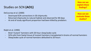 10._Endogenous_Pacemakers_and_Exogenous_Zeitgebers.pptx