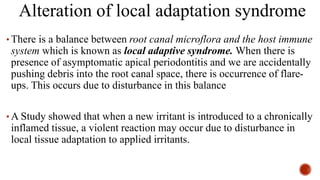 Alteration of local adaptation syndrome
• There is a balance between root canal microflora and the host immune
system which is known as local adaptive syndrome. When there is
presence of asymptomatic apical periodontitis and we are accidentally
pushing debris into the root canal space, there is occurrence of flare-
ups. This occurs due to disturbance in this balance
• A Study showed that when a new irritant is introduced to a chronically
inflamed tissue, a violent reaction may occur due to disturbance in
local tissue adaptation to applied irritants.
 