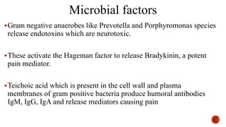 Microbial factors
Gram negative anaerobes like Prevotella and Porphyromonas species
release endotoxins which are neurotoxic.
These activate the Hageman factor to release Bradykinin, a potent
pain mediator.
Teichoic acid which is present in the cell wall and plasma
membranes of gram positive bacteria produce humoral antibodies
IgM, IgG, IgA and release mediators causing pain
 
