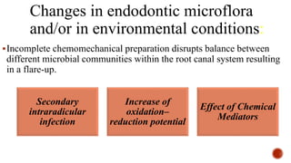 Changes in endodontic microflora
and/or in environmental conditions:
Incomplete chemomechanical preparation disrupts balance between
different microbial communities within the root canal system resulting
in a flare-up.
Secondary
intraradicular
infection
Increase of
oxidation–
reduction potential
Effect of Chemical
Mediators
 