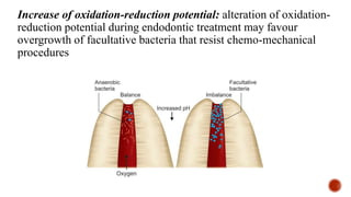 Increase of oxidation-reduction potential: alteration of oxidation-
reduction potential during endodontic treatment may favour
overgrowth of facultative bacteria that resist chemo-mechanical
procedures
 
