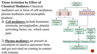 Tissue Irritation by Effect of
Chemical Mediators Chemical
mediators are in form of cell mediators,
plasma mediators and neutrophils
products .
1) Cell mediators include histamine,
serotonin, prostaglandins, platelet
activating factor, etc. which cause
pain.
2) Plasma mediators are present in
circulation in inactive precursor form
and get activated on coming in contact
with irritants.
 