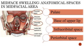 MIDFACE SWELLING: ANATOMICAL SPACES
IN MIDFACIAL AREA
Palate
Base of upper lip
Infraoribital space
Periorbital space
 