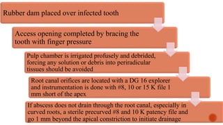 Rubber dam placed over infected tooth
Access opening completed by bracing the
tooth with finger pressure
Pulp chamber is irrigated profusely and debrided,
forcing any solution or debris into periradicular
tissues should be avoided
Root canal orifices are located with a DG 16 explorer
and instrumentation is done with #8, 10 or 15 K file 1
mm short of the apex
If abscess does not drain through the root canal, especially in
curved roots, a sterile precurved #8 and 10 K patency file and
go 1 mm beyond the apical constriction to initiate drainage
 
