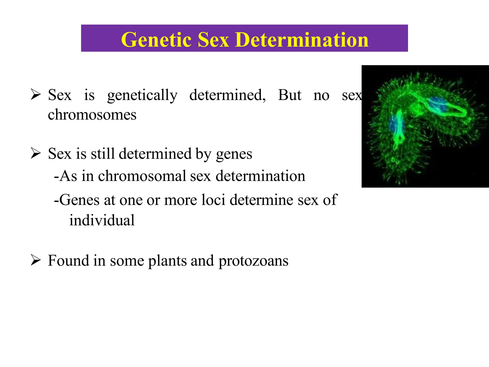 sex determination and sex linkage, Dr. Pratibha Bisen | PDF