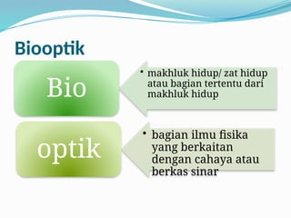 Biooptik
• makhluk hidup/ zat hidup
atau bagian tertentu dari
makhluk hidup
Bio
• bagian ilmu fisika
yang berkaitan
dengan cahaya atau
berkas sinar
optik
 