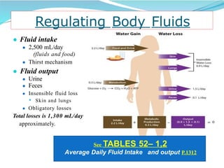 Normal Fluids Intake 10. Fluid and electrolytes.pptx by Ravindra seervi Rav | PPTX