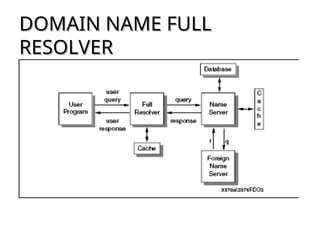 Resolver Domain 10. Domain Name System ( DNS SERVER ).ppt