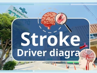7
Stroke
Driver diagram
 