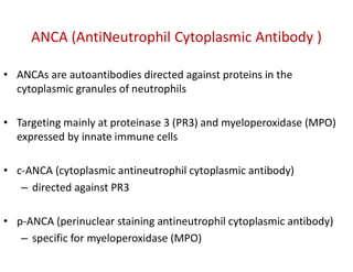 ANCA (AntiNeutrophil Cytoplasmic Antibody )
• ANCAs are autoantibodies directed against proteins in the
cytoplasmic granules of neutrophils
• Targeting mainly at proteinase 3 (PR3) and myeloperoxidase (MPO)
expressed by innate immune cells
• c-ANCA (cytoplasmic antineutrophil cytoplasmic antibody)
– directed against PR3
• p-ANCA (perinuclear staining antineutrophil cytoplasmic antibody)
– specific for myeloperoxidase (MPO)
 