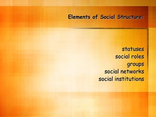 Elements of Social Structure: statuses social roles groups social networks social institutions 