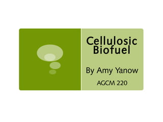 Cellulosic
Biofuel
By Amy Yanow
AGCM 220
 