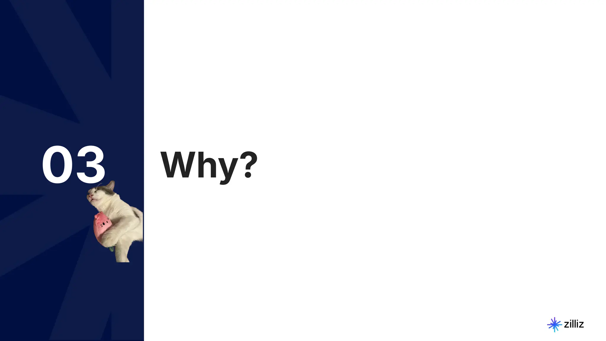 17 | © Copyright Zilliz
17
03 Why?
 