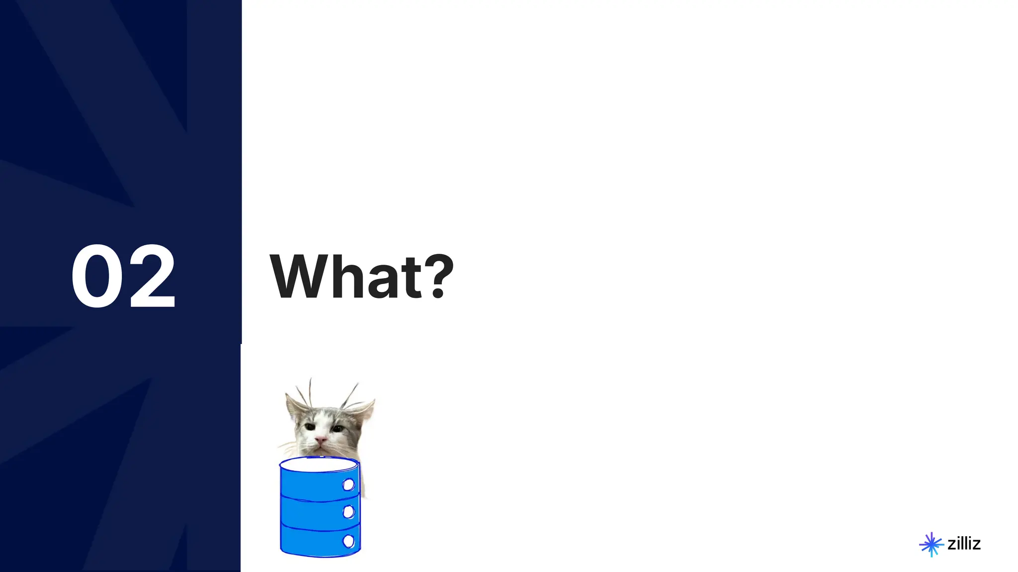 9 | © Copyright Zilliz
9
02 What?
 