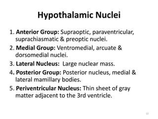 Hypothalamic Nuclei
1. Anterior Group: Supraoptic, paraventricular,
suprachiasmatic & preoptic nuclei.
2. Medial Group: Ventromedial, arcuate &
dorsomedial nuclei.
3. Lateral Nucleus: Large nuclear mass.
4. Posterior Group: Posterior nucleus, medial &
lateral mamillary bodies.
5. Periventricular Nucleus: Thin sheet of gray
matter adjacent to the 3rd ventricle.
12
 