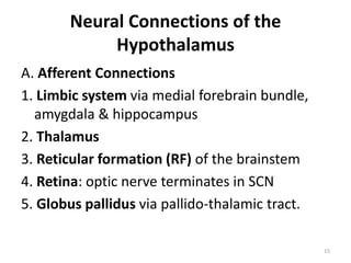 Neural Connections of the
Hypothalamus
A. Afferent Connections
1. Limbic system via medial forebrain bundle,
amygdala & hippocampus
2. Thalamus
3. Reticular formation (RF) of the brainstem
4. Retina: optic nerve terminates in SCN
5. Globus pallidus via pallido-thalamic tract.
15
 
