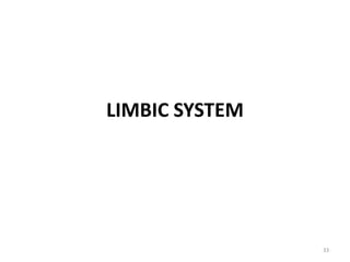 LIMBIC SYSTEM
33
 