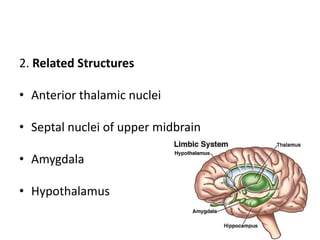 2. Related Structures
• Anterior thalamic nuclei
• Septal nuclei of upper midbrain
• Amygdala
• Hypothalamus
38
 
