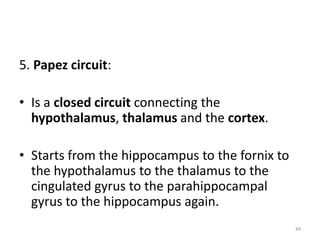 5. Papez circuit:
• Is a closed circuit connecting the
hypothalamus, thalamus and the cortex.
• Starts from the hippocampus to the fornix to
the hypothalamus to the thalamus to the
cingulated gyrus to the parahippocampal
gyrus to the hippocampus again.
44
 