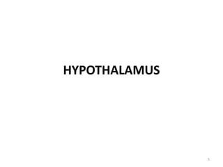 HYPOTHALAMUS
5
 