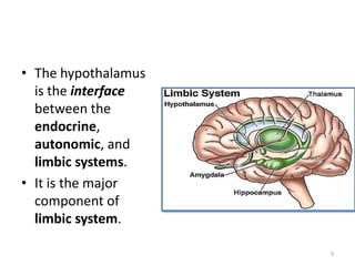 • The hypothalamus
is the interface
between the
endocrine,
autonomic, and
limbic systems.
• It is the major
component of
limbic system.
9
 