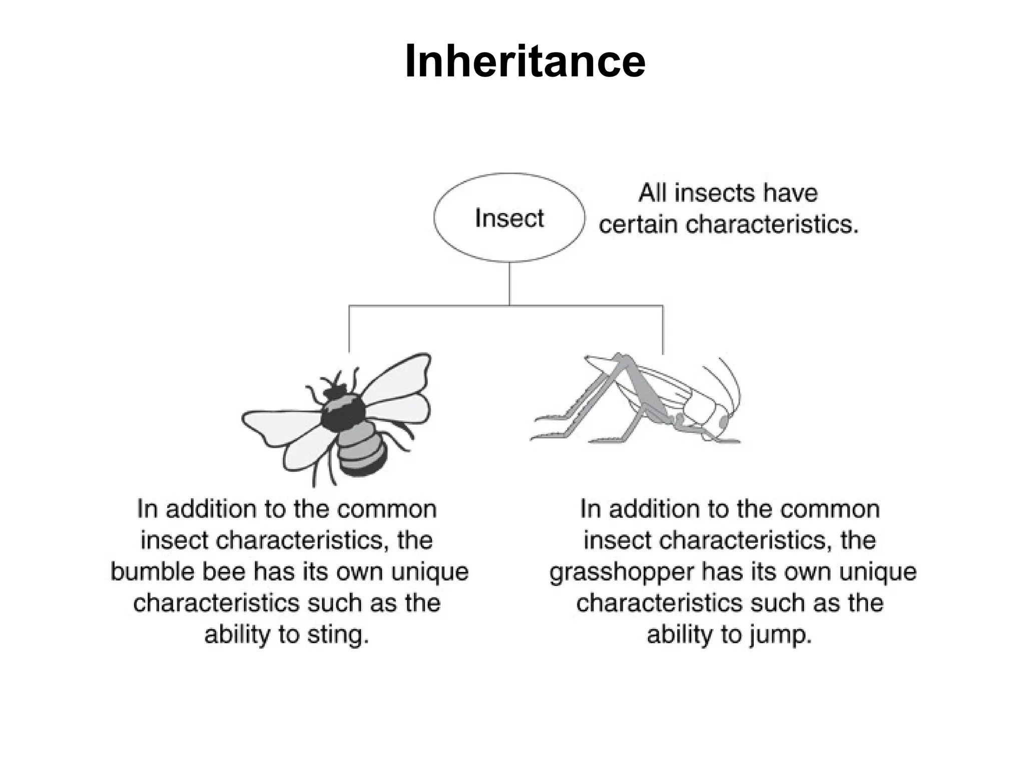 Inheritance
 