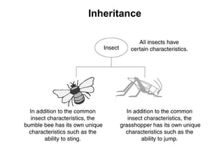 Inheritance
 