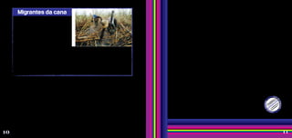 Quando a migração é internacional, muitas das situações de discriminação e violações são alimentadas por
políticas migratórias restritivas, sejam elas leis que limitam os direitos das pessoas migrantes ou barreiras físicas
para dificultar a entrada nas fronteiras, como o muro construído entre os Estados Unidos e o México. Existem políticas
de Estado xenófobas que reforçam preconceitos e estereótipos em relação às pessoas migrantes, o que também
estimula que os cidadãos locais encarem a migração como um problema que deve ser evitado ou controlado.
Em 2009, por exemplo, a Itália passou a devolver para a Líbia qualquer barco de imigrantes africanos encontrado
em sua costa, independentemente da origem. Funcionários públicos italianos, como médicos, enfermeiros e professores,
são incentivados a denunciar pessoas em situação irregular. Em alguns países, como na França, passou a ser crime
ajudar migrantes sem documentos, o que ficou conhecido como “delito de solidariedade”. Em 2012, a Espanha retirou
dos imigrantes em situação irregular o direito ao atendimento médico no sistema público de saúde do país.
Tais medidas, no entanto, não impedem a entrada de migrantes nesses países, mas estimulam a migração irregular.
Nessa situação, os migrantes ficam ainda mais propensos a terem seus direitos negados e raramente denunciam essas
violações com medo de serem descobertos e expulsos.
Restrições
Mesmo nesse contexto de radicalismos, há também quem defenda uma política de integração
e reconheça a importância socioeconômica e o enriquecimento cultural que os migrantes
proporcionam. Muita gente tem defendido a construção da livre mobilidade das pessoas e de uma
cidadania universal.
A migração dentro do país ou para fora dele é um direito humano, que deve ser
garantido para todo mundo. Essa ideia é recente e, infelizmente, esse direito ainda não está
garantido nos tratados internacionais. Organizações que trabalham em defesa dos direitos dos
migrantes defendem essa concepção das migrações para construirmos um mundo melhor.
Podemos, por exemplo, encontrar essa definição na declaração de princípios da Conferência
Sul-Americana de Migrações, principal espaço de diálogo entre os governos da região sobre o tema,
da qual o Brasil faz parte. É uma instância que busca promover o intercâmbio de informações e
boas práticas em relação à migração, bem como desenvolver programas e coordenar políticas sobre
esse assunto entre seus doze países-membros. Na declaração, os países reconhecem “às pessoas,
o direito a migrar, a não migrar e retornar de forma livre, informada e segura sem criminalizar
seus deslocamentos e ao migrante”. Afirmam também que “não se considerará a nenhum ser
humano como ilegal por estar incurso em uma situação migratória irregular” e defende que “se
deve reconhecer a importância de avançar de maneira gradual, mas decidida através do diálogo
e da cooperação multilateral, a uma integração regional fundamentada na construção da livre
mobilidade de pessoas e da cidadania sul-americana”.
Migração como direito humano
APROVADO
visto d
e
i
m
i
g
r
a
ç
ã
o
v
i
s
t
o
d
e
i
m
i
g
r
a
ç
ã
o
Muitos migrantes nordestinos enfrentam
hostilidade da população local, quando saem de
sua terra para trabalhar nos canaviais no estado
de São Paulo, ou em outros lugares, e acabam
sendo marginalizados cultural, social e
economicamente, e tratados como inferiores
pelos nativos. Eles sofrem discriminação da
população local, o que provoca um profundo
isolamento em relação ao restante da cidade.
Quase sempre são submetidos a condições precárias de moradia, amontoados em becos e pequenos
quartos e acabam estabelecendo relações quase que exclusivamente com seus “iguais”. Isso dificulta a
mobilização, a reivindicação de direitos e a denúncia de situações de abuso.
Essesmigrantesquetrabalhamnocortedacanasãofrequentementedesumanizados,desqualificados,
e submetidos a explorações de vários níveis, inclusive à escravidão. E, muitas vezes, nas cartas trocadas
com a família, toda essa situação de dor e sofrimento é silenciada, por vergonha ou por quererem poupar
as pessoas queridas de mais esse sofrimento.
10 11
João
Zinclar/Bahia,
Brasil/2006
Tudo isso pode resultar na violação de diversos direitos humanos, como a negação do direito à
saúde e à educação, além de restrições a condições dignas de moradia, trabalho e segurança. Com
frequência, eles exercem trabalhos desvalorizados socialmente, são explorados, recebem baixos
salários, além de serem proibidos de participar dos sindicatos.
Migrantes da cana
 