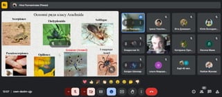 21 березня 2025 р. – Відкрита лекція на тему «Павуки України та їхня роль в екосистемах»