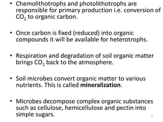 • Chemolithotrophs and photolithotrophs are
responsible for primary production i.e. conversion of
CO2 to organic carbon.
• Once carbon is fixed (reduced) into organic
compounds it will be available for heterotrophs.
• Respiration and degradation of soil organic matter
brings CO2 back to the atmosphere.
• Soil microbes convert organic matter to various
nutrients. This is called mineralization.
• Microbes decompose complex organic substances
such as cellulose, hemicellulose and pectin into
simple sugars. 10
 