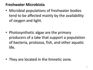 Freshwater Microbiota
• Microbial populations of freshwater bodies
tend to be affected mainly by the availability
of oxygen and light.
• Photosynthetic algae are the primary
producers of a lake that support a population
of bacteria, protozoa, fish, and other aquatic
life.
• They are located in the limnetic zone.
19
 