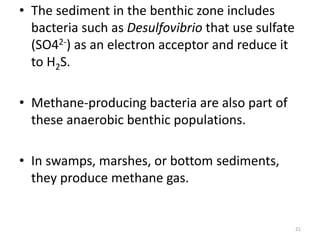 • The sediment in the benthic zone includes
bacteria such as Desulfovibrio that use sulfate
(SO42-) as an electron acceptor and reduce it
to H2S.
• Methane-producing bacteria are also part of
these anaerobic benthic populations.
• In swamps, marshes, or bottom sediments,
they produce methane gas.
21
 