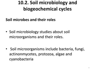 10.2. Soil microbiology and
biogeochemical cycles
Soil microbes and their roles
• Soil microbiology studies about soil
microorganisms and their roles.
• Soil microorganisms include bacteria, fungi,
actinonmycetes, protozoa, algae and
cyanobacteria
4
 