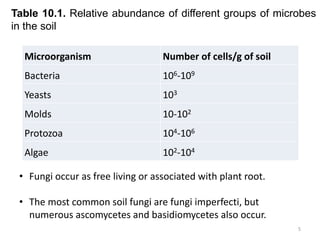 Microorganism Number of cells/g of soil
Bacteria 106-109
Yeasts 103
Molds 10-102
Protozoa 104-106
Algae 102-104
Table 10.1. Relative abundance of different groups of microbes
in the soil
• Fungi occur as free living or associated with plant root.
• The most common soil fungi are fungi imperfecti, but
numerous ascomycetes and basidiomycetes also occur.
5
 