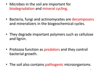 • Microbes in the soil are important for
biodegradation and mineral cycling.
• Bacteria, fungi and actinomycetes are decomposers
and mineralizers in the biogeochemical cycles.
• They degrade important polymers such as cellulose
and lignin.
• Protozoa function as predators and they control
bacterial growth.
• The soil also contains pathogenic microorganisms.
6
 