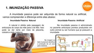 1. IMUNIZAÇÃO PASSIVA
A imunidade passiva pode ser adquirida de forma natural ou artificial,
vamos compreender a diferença entre elas abaixo:
Imunidade Passiva Natural
A natural é obtida pela passagem de
anticorpos do corpo da mãe para o do feto. Isso
pode se dar tanto por meio da placenta,
colostro e leite materno.
Imunidade Passiva Artificial
Na imunidade passiva é administrado
no paciente anticorpos prontos produzidos em
outro animal ou ser humano que já possuem a
imunidade.
Na imagem ao
lado é possível identificar
a produção de um soro
para venenos.
 