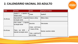 2. CALENDÁRIO VACINAL DO ADULTO
 