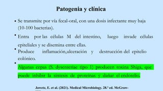 Se transmite por vía fecal-oral, con una dosis infectante muy baja
(10-100 bacterias).
Entra por las células M del intestino, luego invade células
epiteliales y se disemina entre ellas.
Produce inflamación,ulceración y destrucción del epitelio
colónico.
Algunas cepas (S. dysenteriae tipo 1) producen toxina Shiga, que
puede inhibir la síntesis de proteínas y dañar el endotelio.
Jawetz, E. et al. (2021). Medical Microbiology. 28.ª ed. McGraw-
Patogenia y clínica
 