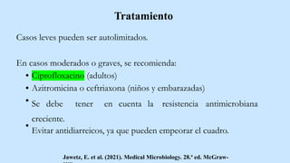 Casos leves pueden ser autolimitados.
En casos moderados o graves, se recomienda:
Ciprofloxacino (adultos)
Azitromicina o ceftriaxona (niños y embarazadas)
Se debe tener en cuenta la resistencia antimicrobiana
creciente.
Evitar antidiarreicos, ya que pueden empeorar el cuadro.
Jawetz, E. et al. (2021). Medical Microbiology. 28.ª ed. McGraw-
Tratamiento
 