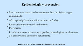 Más común en zonas con hacinamiento, falta de higiene y agua
contaminada.
Afecta principalmente a niños menores de 5 años.
Reservorio: únicamente el ser humano.
Prevención:
Lavado de manos, acceso a agua potable, buena higiene de alimentos.
No existe vacuna disponible actualmente.
Jawetz, E. et al. (2021). Medical Microbiology. 28.ª ed. McGraw-
Epidemiología y prevención
 