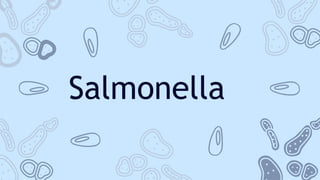 Salmonella
 