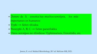 Dentro de S. enterica hay muchos serotipos, los más
importantes en humanos:
Typhi → fiebre tifoidea
Paratyphi A, B, C → fiebre paratifoidea
Otros serotipos no tifoídicos: Typhimurium, Enteritidis, etc.
Jawetz, E. et al. Medical Microbiology, 28.ª ed. McGraw-Hill, 2021.
 