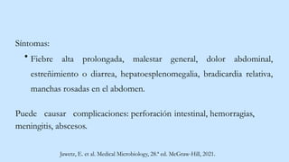 Síntomas:
Fiebre alta prolongada, malestar general, dolor abdominal,
estreñimiento o diarrea, hepatoesplenomegalia, bradicardia relativa,
manchas rosadas en el abdomen.
Puede causar complicaciones: perforación intestinal, hemorragias,
meningitis, abscesos.
Jawetz, E. et al. Medical Microbiology, 28.ª ed. McGraw-Hill, 2021.
 