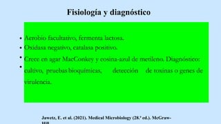Fisiología y diagnóstico
Aerobio facultativo, fermenta lactosa.
Oxidasa negativo, catalasa positivo.
Crece en agar MacConkey y eosina-azul de metileno. Diagnóstico:
cultivo, pruebasbioquímicas, detección de toxinas o genes de
virulencia.
Jawetz, E. et al. (2021). Medical Microbiology (28.ª ed.). McGraw-
 