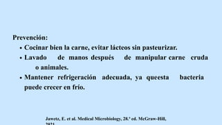 Prevención:
Cocinar bien la carne, evitar lácteos sin pasteurizar.
Lavado de manos después de manipular carne cruda
o animales.
Mantener refrigeración adecuada, ya queesta bacteria
puede crecer en frío.
Jawetz, E. et al. Medical Microbiology, 28.ª ed. McGraw-Hill,
 
