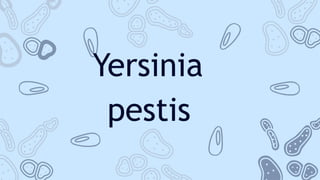 Yersinia
pestis
 