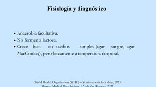 Fisiología y diagnóstico
Anaerobia facultativa.
No fermenta lactosa.
Crece bien en medios
World Health Organization (WHO) – Yersinia pestis fact sheet, 2023.
simples (agar sangre, agar
MacConkey), pero lentamente a temperatura corporal.
 